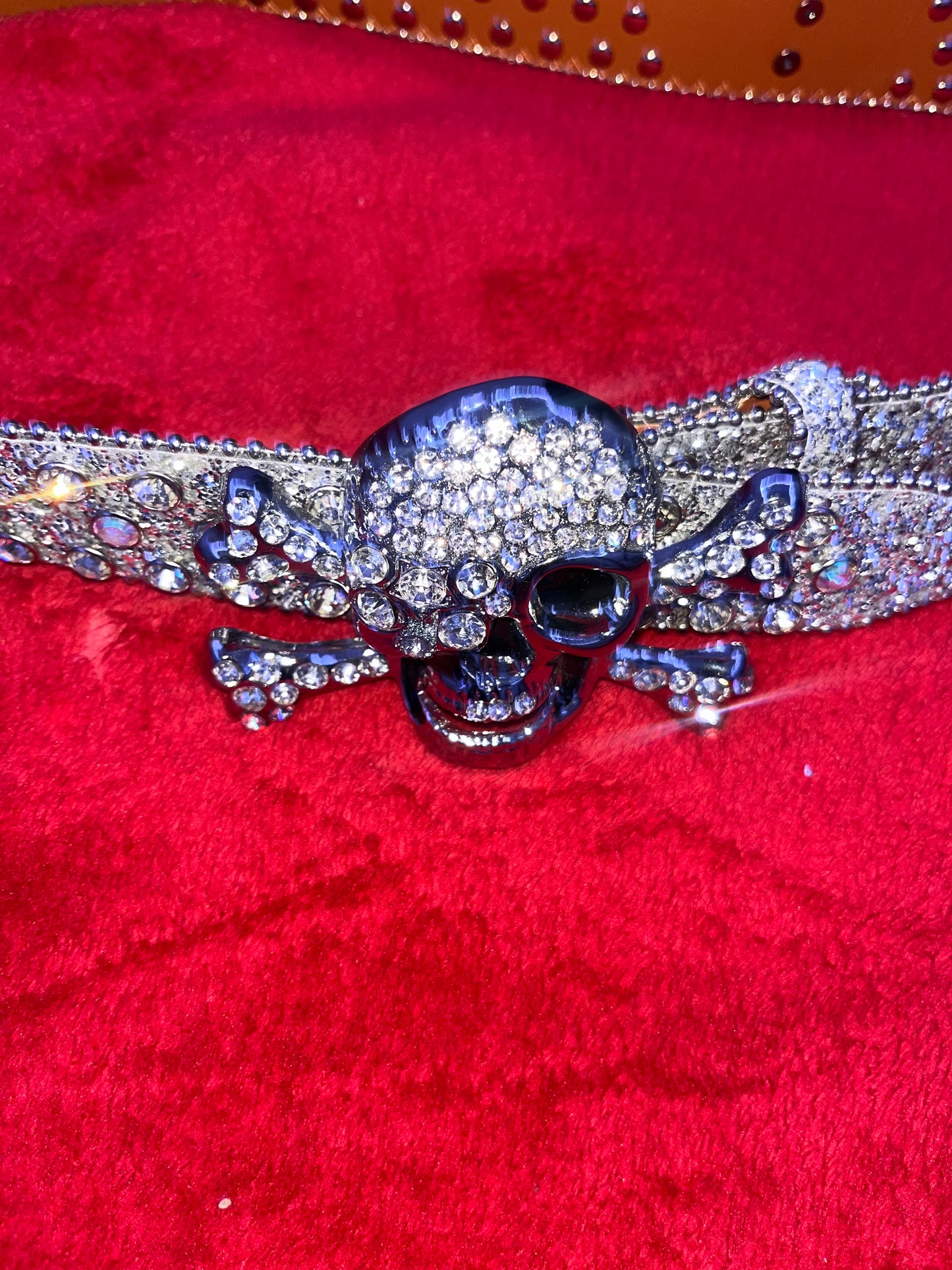 Rhinestone skull belts - Private property 