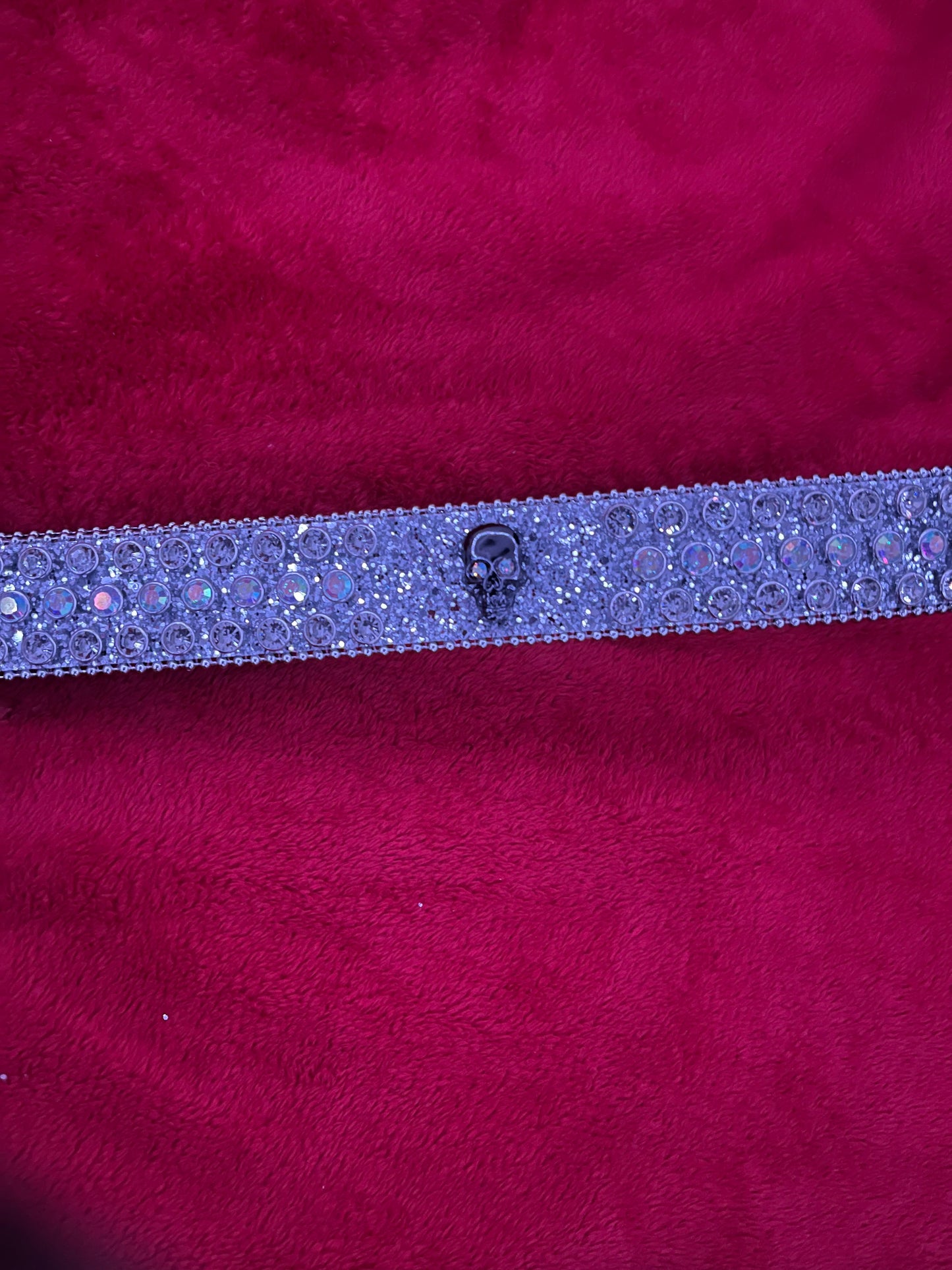 Rhinestone skull belts - Private property 