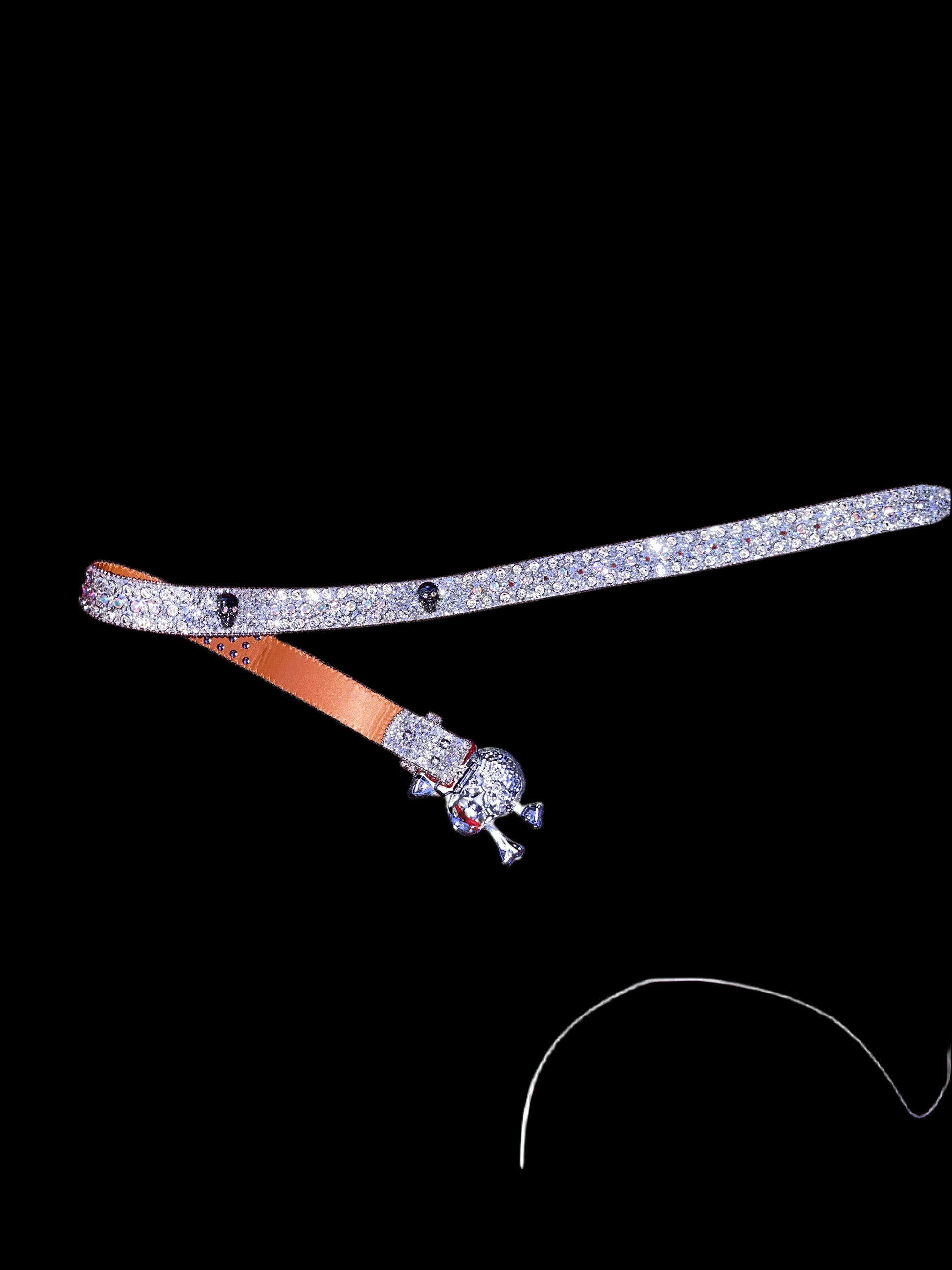 Rhinestone skull belts - Private property 
